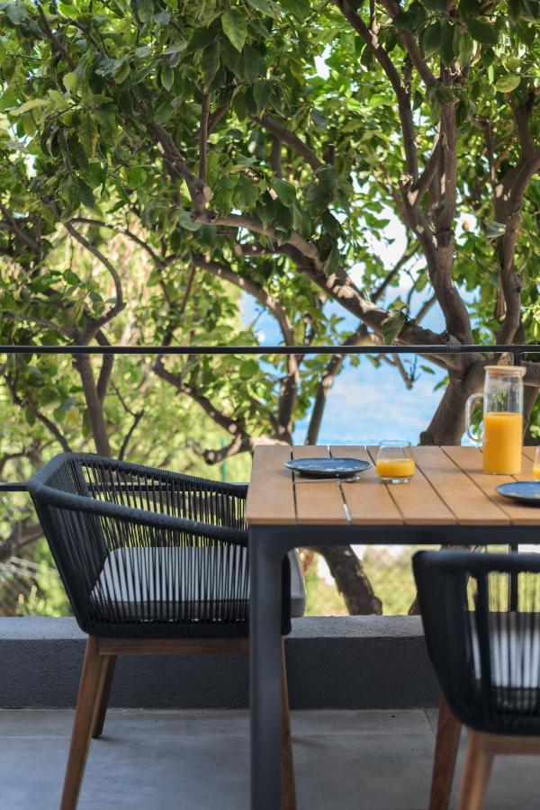 Proche Monaco, Vue Mer, Acces Plage Et Jardin Privatif Saint-Antoine  Bagian luar foto